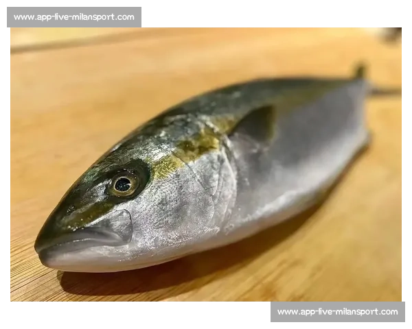 岱山海钓者意外发现：不同鱼类竟有独特 “语言”，百年渔谚暗藏声学密码