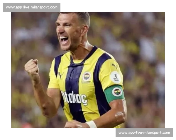 哲科抵意完成体检!自由身加盟佛罗伦萨签约在即 哲科抵意完成体检!自由身加盟佛罗伦萨签约在即